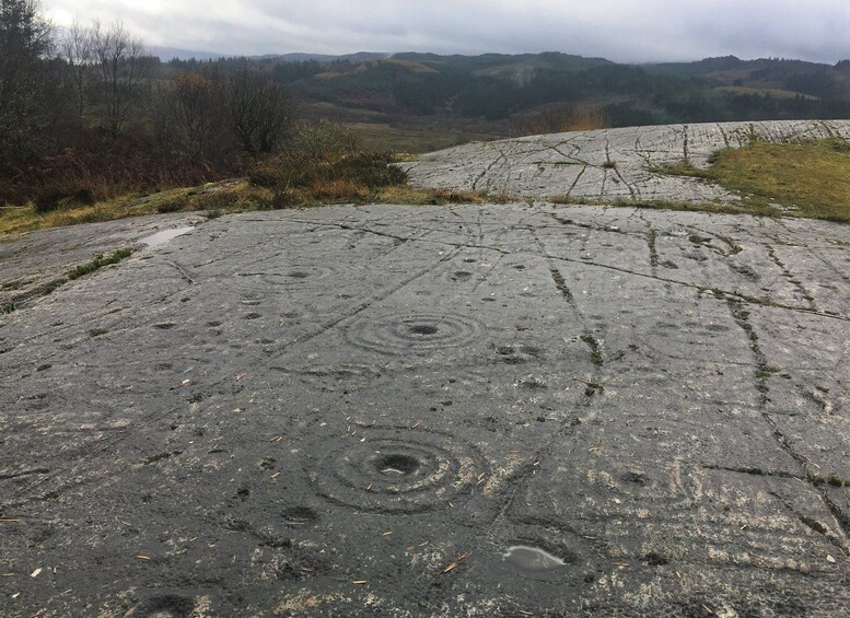 Picture 4 for Activity From Balloch: Standing Stones, Castles & Highlands Tour