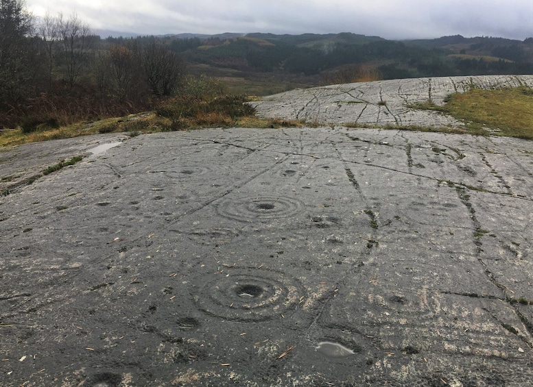 Picture 4 for Activity From Balloch: Standing Stones, Castles & Highlands Tour