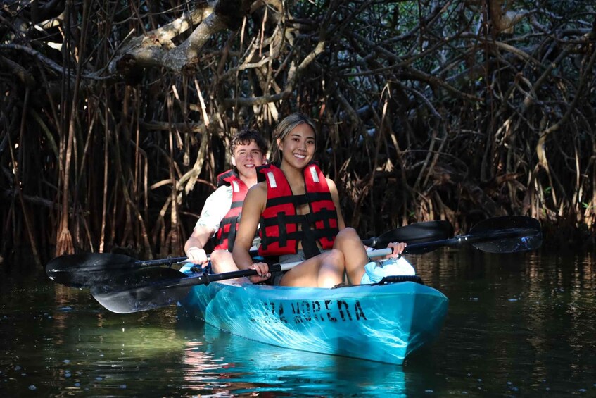 Picture 13 for Activity Cancun: Sunset Kayak Experience in the Mangroves