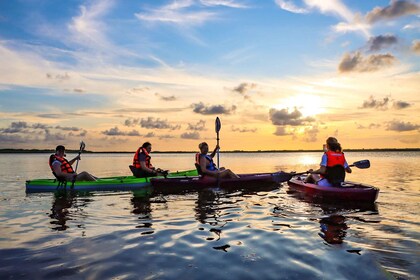 Cancun: Sunset Kayak Experience in the Mangroves