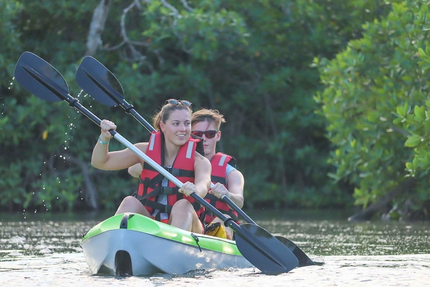 Picture 3 for Activity Cancun: Sunset Kayak Experience in the Mangroves
