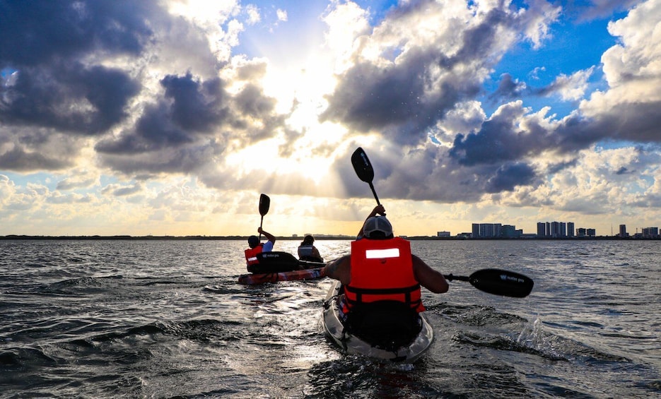 Picture 1 for Activity Cancun: Sunset Kayak Experience in the Mangroves