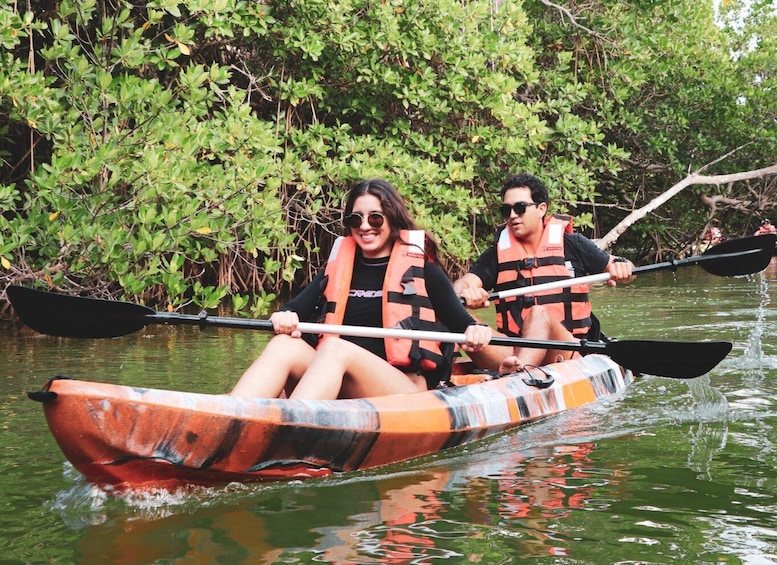 Picture 9 for Activity Cancun: Sunset Kayak Experience in the Mangroves