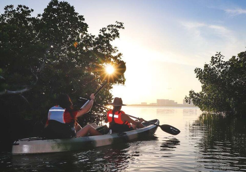 Picture 4 for Activity Cancun: Sunset Kayak Experience in the Mangroves