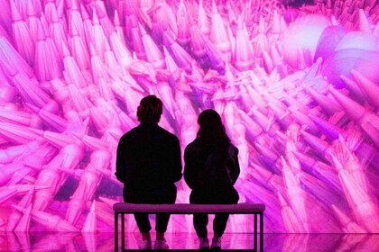 Miami: ARTECHOUSE Immersive Art Experience Eintrittskarte