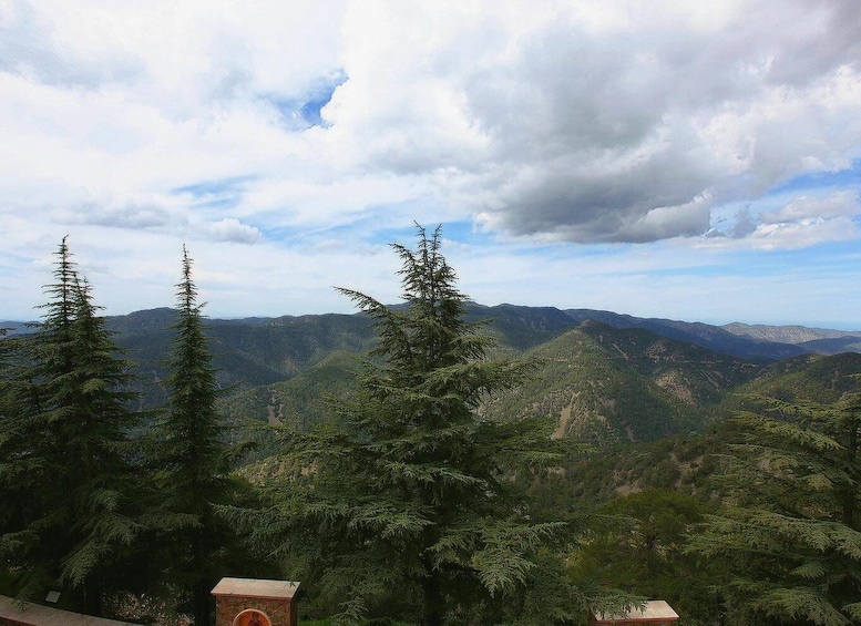 Picture 4 for Activity Paphos: Tour to Troodos, Kykkos Monastery, Omodos and Winery