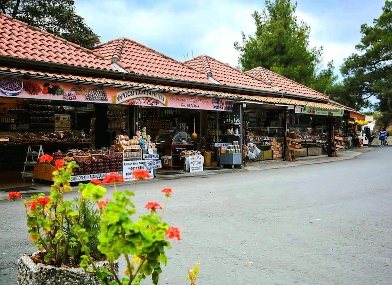 Picture 14 for Activity Paphos: Tour to Troodos, Kykkos Monastery, Omodos and Winery