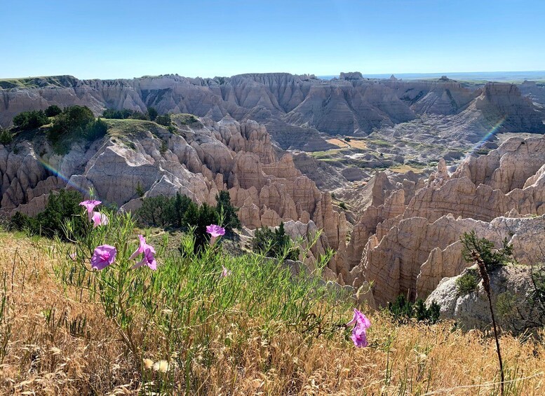 Picture 5 for Activity Badlands National Park: Premiere Day Tour