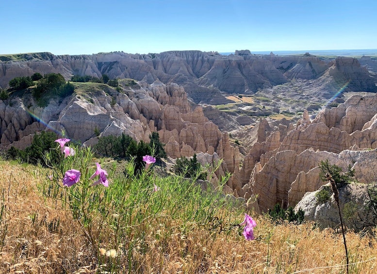 Picture 5 for Activity Badlands National Park: Premiere Day Tour