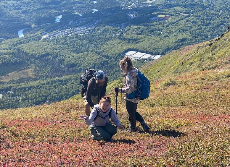 From Anchorage: Chugach State Park Guided Alpine Trek