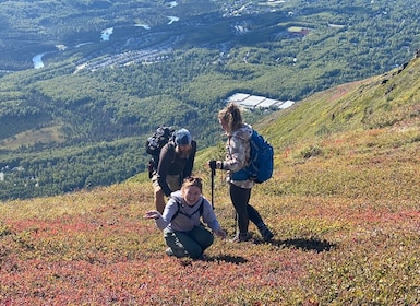 From Anchorage: Chugach State Park Guided Alpine Trek