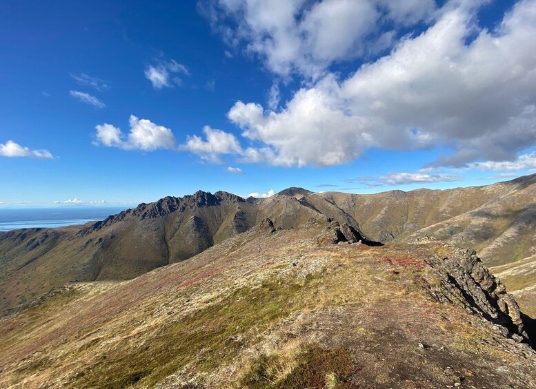 Picture 1 for Activity From Anchorage: Chugach State Park Guided Alpine Trek