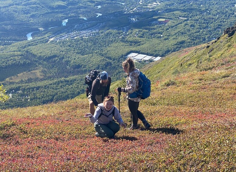 From Anchorage: Chugach State Park Guided Alpine Trek