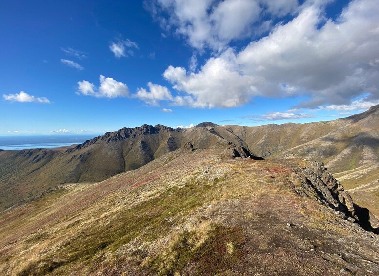 Picture 1 for Activity From Anchorage: Chugach State Park Guided Alpine Trek