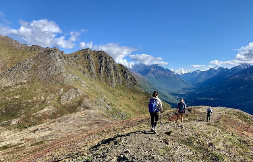 Picture 4 for Activity From Anchorage: Chugach State Park Guided Alpine Trek
