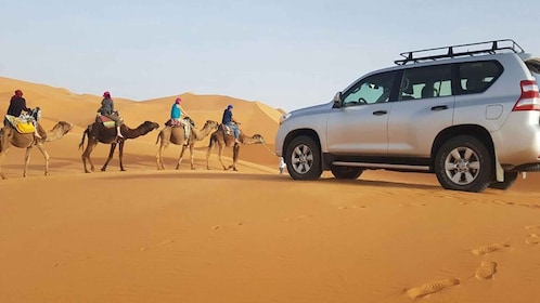 Vanuit Agadir: 4×4 Jeep Sahara woestijntocht met lunch