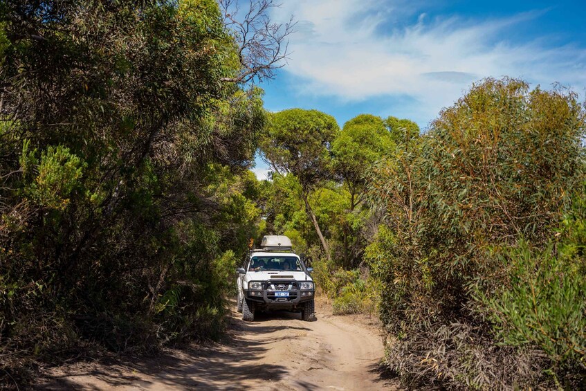 Picture 2 for Activity Coffin Bay National Park: Highlights and Off-Road 4WD Tour