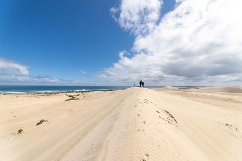 Picture 5 for Activity Coffin Bay National Park: Highlights and Off-Road 4WD Tour