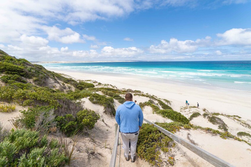 Picture 1 for Activity Coffin Bay National Park: Highlights and Off-Road 4WD Tour