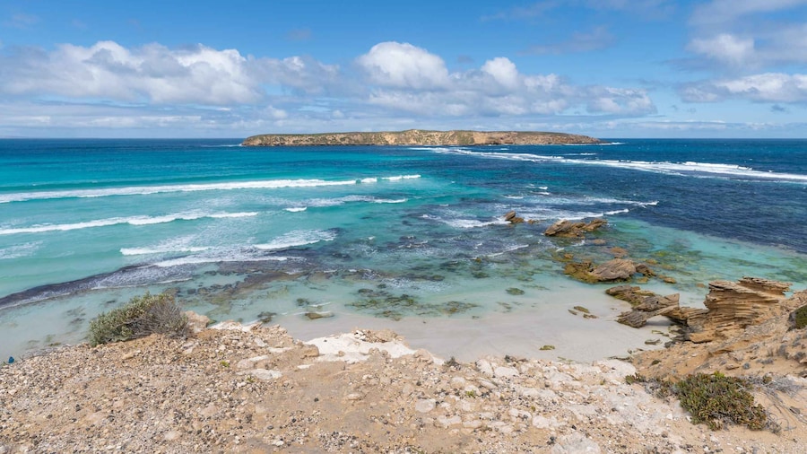 Coffin Bay National Park: Highlights and Off-Road 4WD Tour