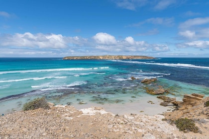 Coffin Bay National Park: Highlights and Off-Road 4x4 Tour