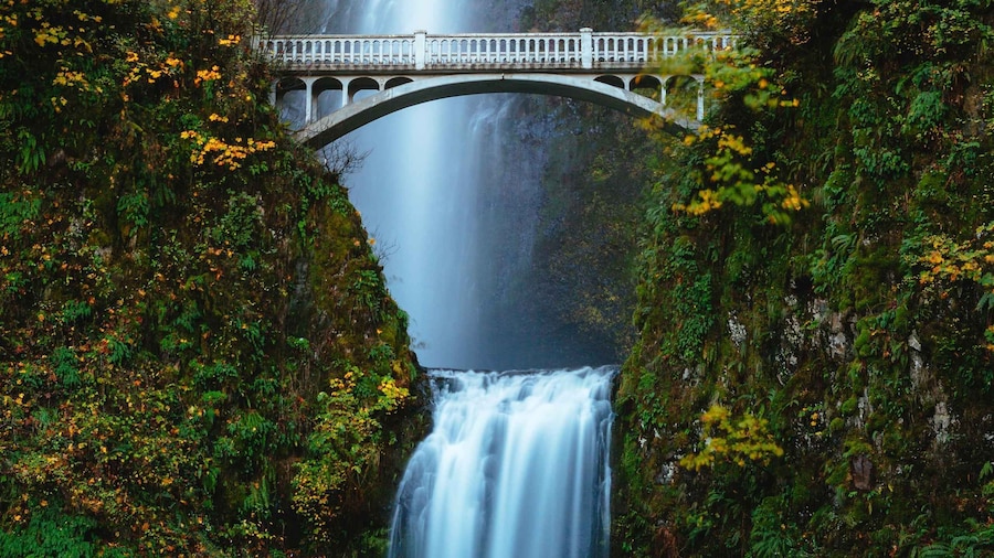 From Portland: Columbia Gorge Waterfalls Tour