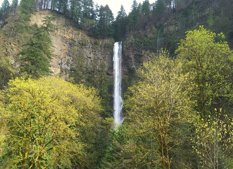 Picture 5 for Activity From Portland: Columbia Gorge Waterfalls Tour