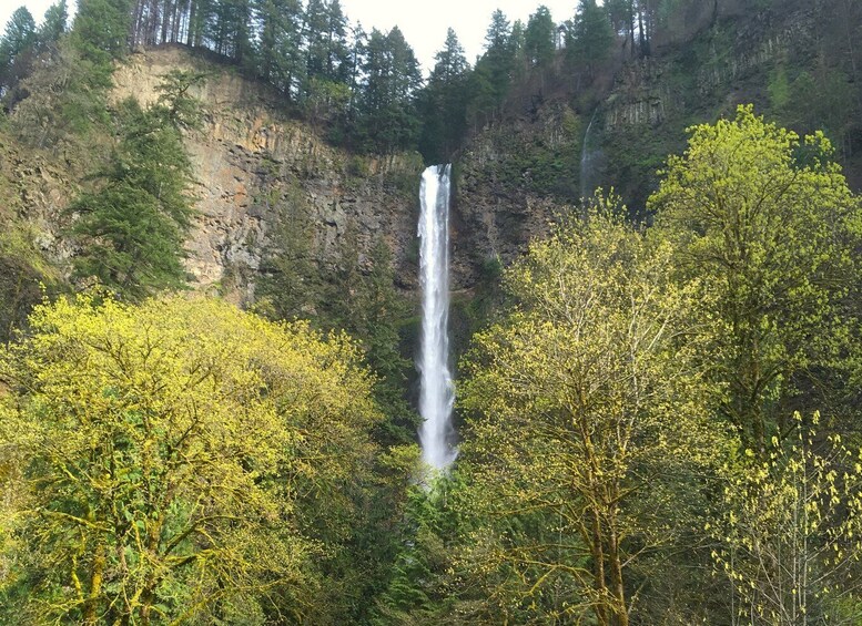 Picture 5 for Activity From Portland: Columbia Gorge Waterfalls Tour