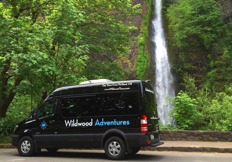 Picture 4 for Activity From Portland: Columbia Gorge Waterfalls Tour