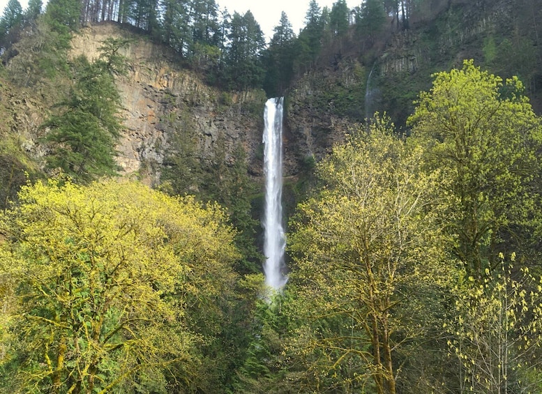 Picture 5 for Activity From Portland: Columbia Gorge Waterfalls Tour