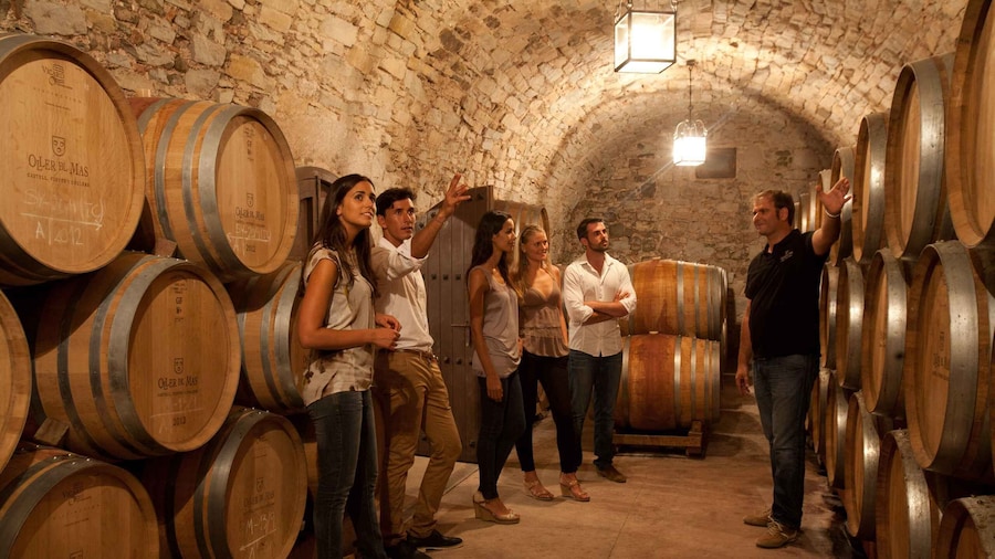 Galicia: Group Winery Tour and Tasting