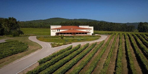 Galicia: Group Winery Tour and Tasting