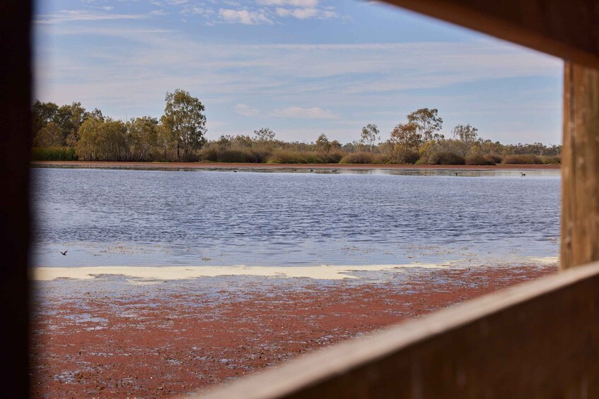 Picture 6 for Activity Banrock Station: Guided Banrock Trail Tour and Wine Tasting