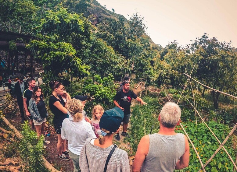 Picture 16 for Activity Gran Canaria: Guided Day Tour to Rainforest with Tasting