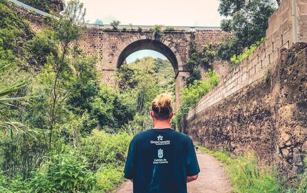 Gran Canaria: tour guiado de un día a la selva tropical con degustación