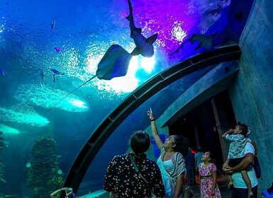 Mazatlan: Grand Aquarium Ticket and City Sightseeing Tour