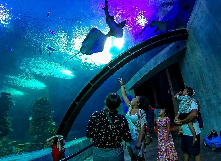 Mazatlan: Grand Aquarium Ticket and City Sightseeing Tour