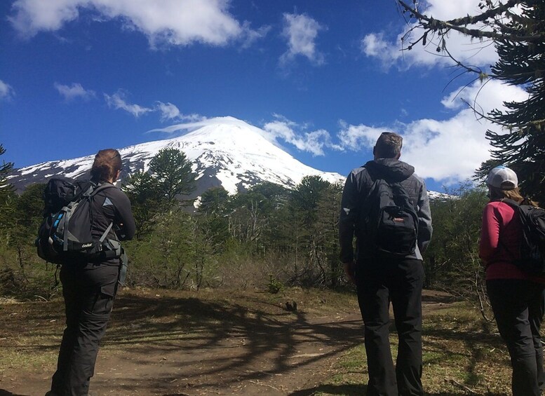 Picture 2 for Activity From Pucón: Lanín Volcano Guided Ascent