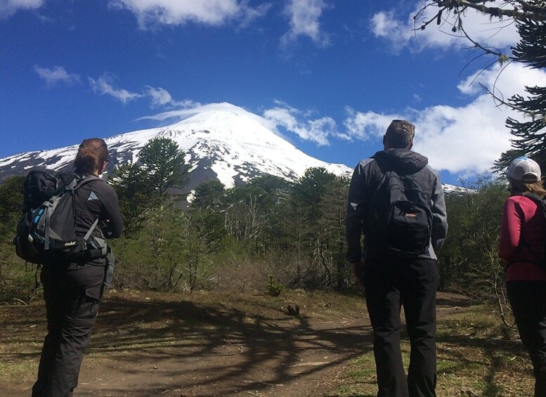 Picture 2 for Activity From Pucón: Lanín Volcano Guided Ascent