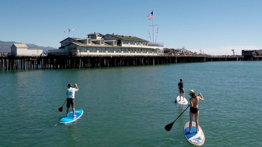 Santa Barbara: Stand-up Paddle Board Rental