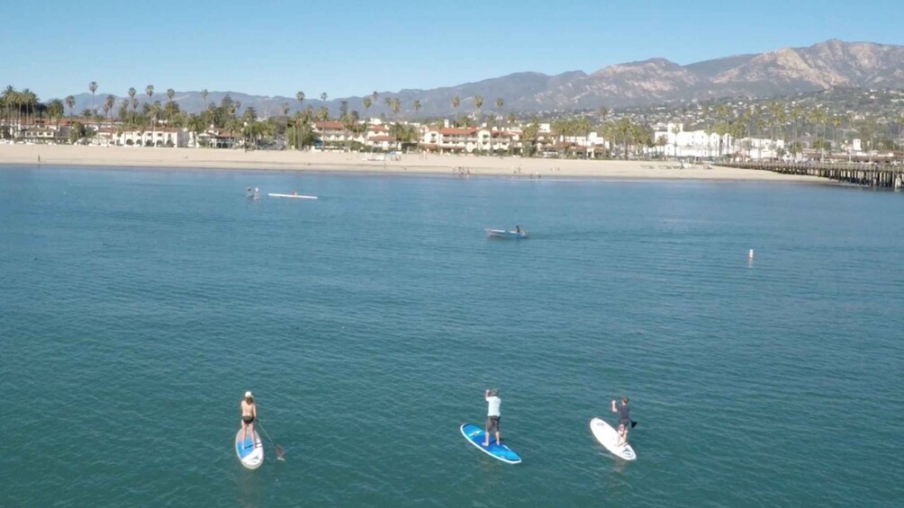 Picture 3 for Activity Santa Barbara: Stand-up Paddle Board Rental
