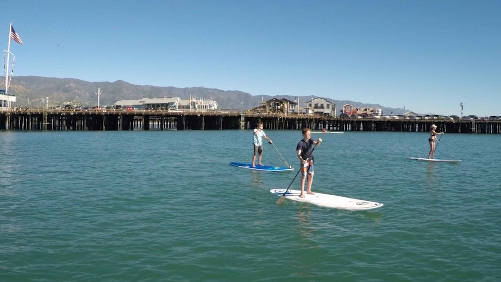 Picture 1 for Activity Santa Barbara: Stand-up Paddle Board Rental