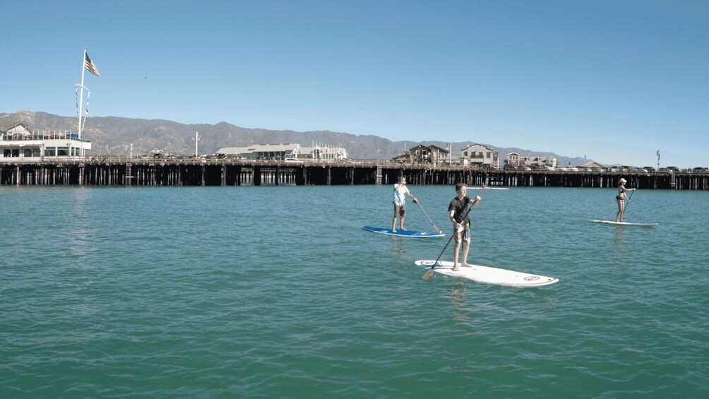 Picture 2 for Activity Santa Barbara: Stand-up Paddle Board Rental