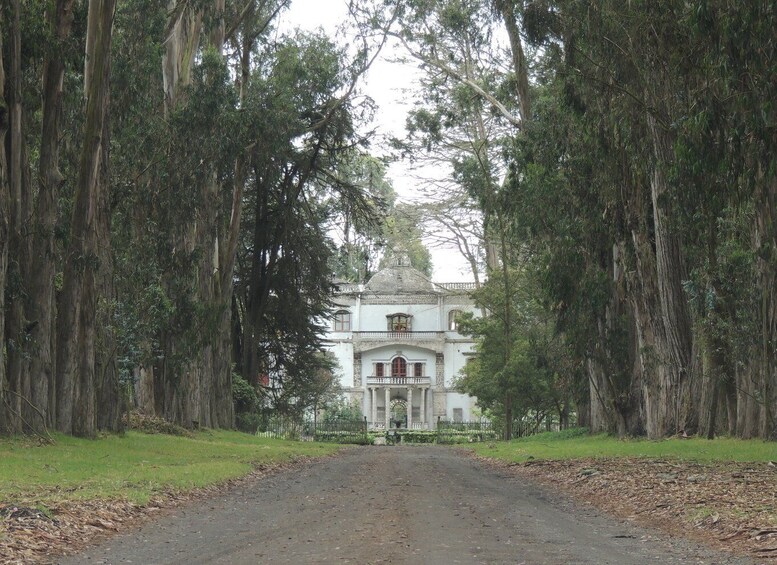 Picture 3 for Activity From Quito: Cotopaxi Volcano and Colonial Hacienda Day Trip