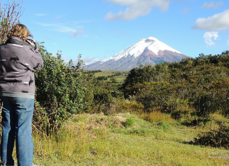 Picture 6 for Activity From Quito: Cotopaxi Volcano and Colonial Hacienda Day Trip