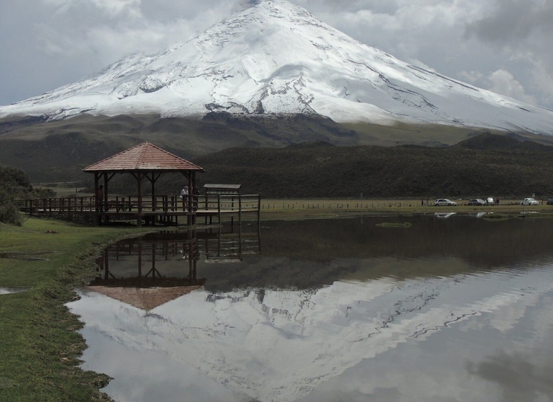 Picture 1 for Activity From Quito: Cotopaxi National Park Group Day Trip