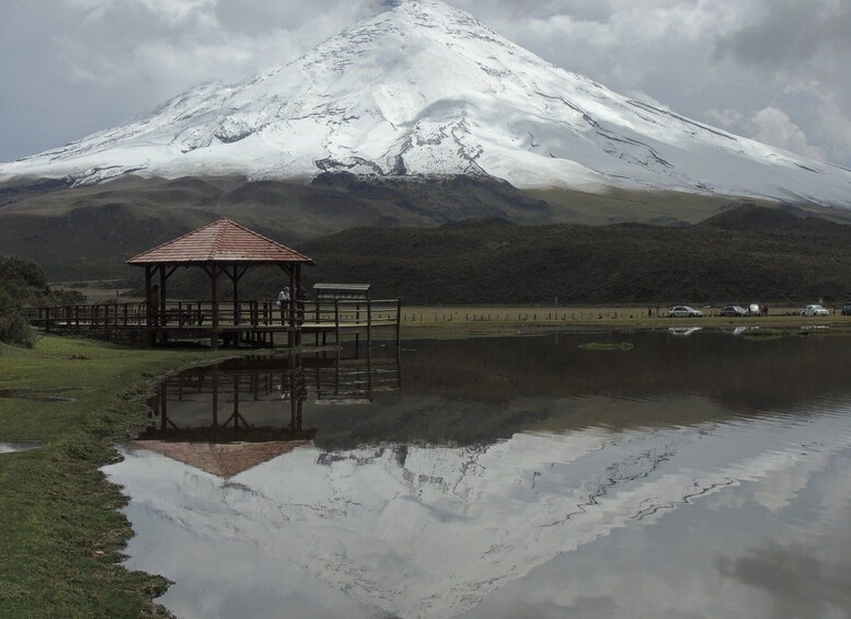 Picture 2 for Activity From Quito: Cotopaxi Volcano and Colonial Hacienda Day Trip