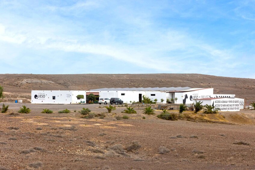 Picture 5 for Activity Fuerteventura: Artisan Goat's Cheese Making at Local Farm