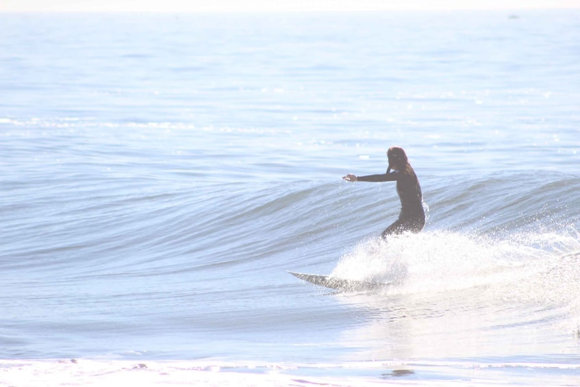 Picture 3 for Activity Solana Beach: Full Day Surf Board Rental