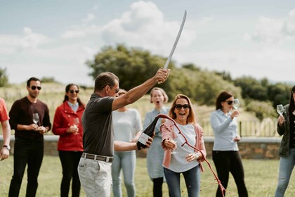 Desde Liubliana: tour de vinos eslovenos